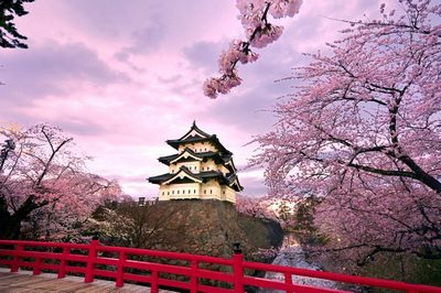Hành trình tour du lịch Nhật Bản mùa lá đỏ | 6 ngày 5 đêm